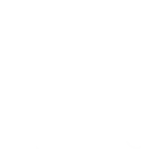 NZ Registered Architect